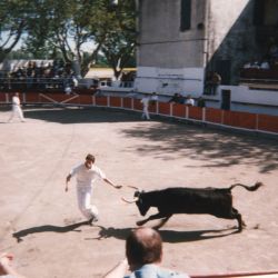 Cherguia 0000 