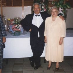 Segura 1993 